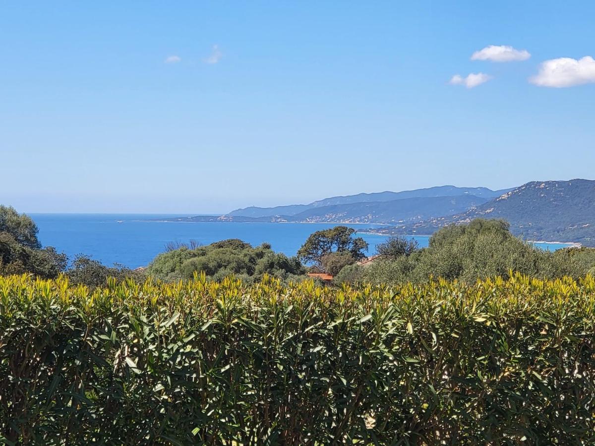 T2 Propriano Vue Mer, Neuf, Climatise Et Classe 3 Etoiles Viggianello Kültér fotó