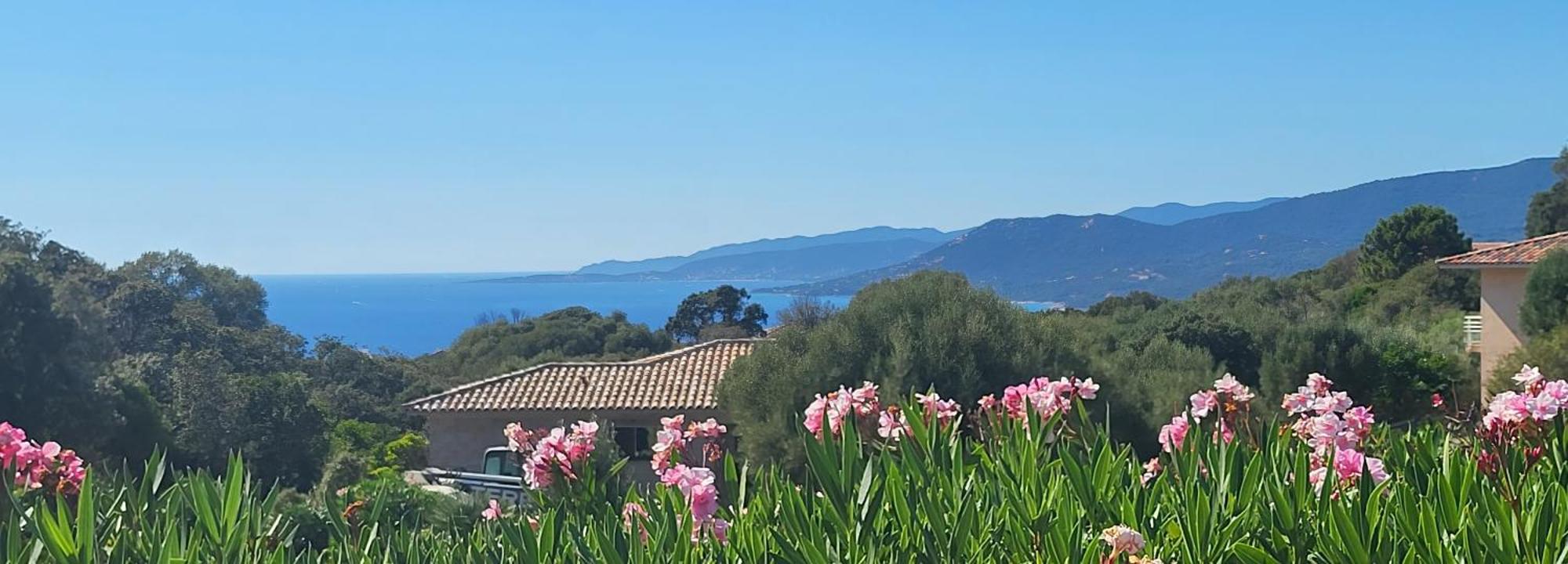 T2 Propriano Vue Mer, Neuf, Climatise Et Classe 3 Etoiles Viggianello Kültér fotó